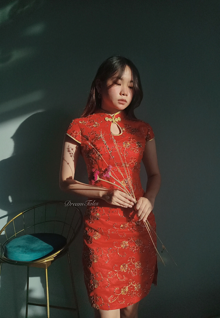 DT2170 Embroidered Mesh Cheongsam Dress - Red DreamTales Wardrobe DT2170 Embroidered Mesh Cheongsam Dress - Red DreamTales Wardrobe